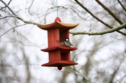 Bird Houses Contemporary Oriental Bird Feeder Handcrafted Hardwood